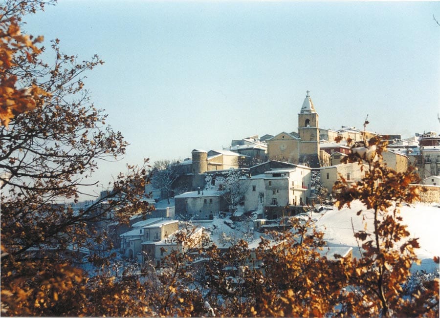 Alberona innevata